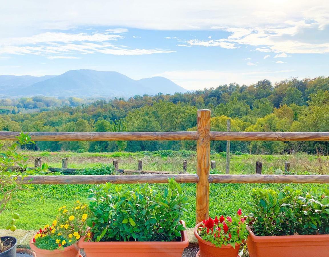 Villino Al Dotto Country House Лукка Экстерьер фото
